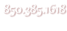 850.385.1618
